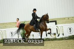 24BUCK_02332 thumbnail