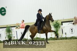 24BUCK_02333 thumbnail