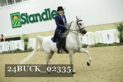 24BUCK_02335 thumbnail