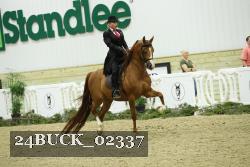 24BUCK_02337 thumbnail