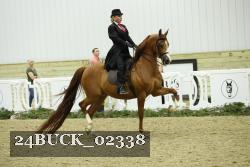 24BUCK_02338 thumbnail