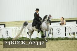 24BUCK_02342 thumbnail