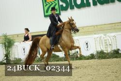 24BUCK_02344 thumbnail