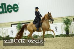 24BUCK_02345 thumbnail