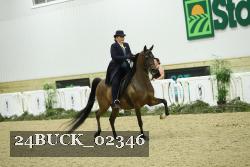 24BUCK_02346 thumbnail