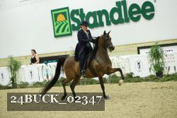 24BUCK_02347 thumbnail