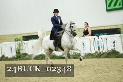 24BUCK_02348 thumbnail