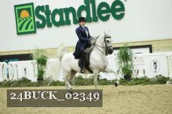 24BUCK_02349 thumbnail