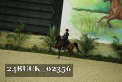 24BUCK_02356 thumbnail