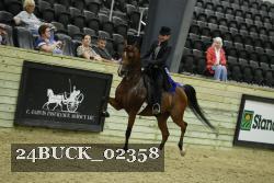 24BUCK_02358 thumbnail
