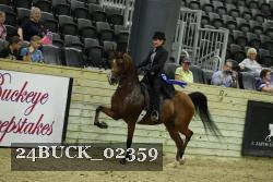 24BUCK_02359 thumbnail