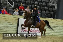 24BUCK_02361 thumbnail