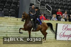 24BUCK_02362 thumbnail