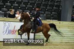 24BUCK_02363 thumbnail
