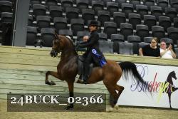 24BUCK_02366 thumbnail