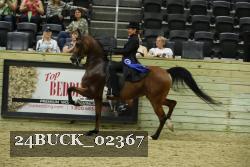 24BUCK_02367 thumbnail