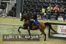 24BUCK_02368 thumbnail