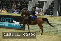 24BUCK_02369 thumbnail