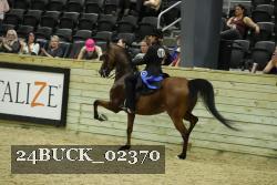 24BUCK_02370 thumbnail