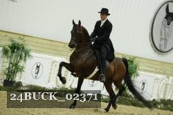 24BUCK_02371 thumbnail