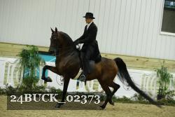 24BUCK_02373 thumbnail