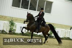 24BUCK_02374 thumbnail