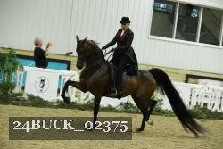 24BUCK_02375 thumbnail