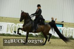 24BUCK_02376 thumbnail