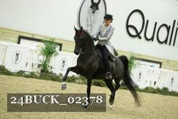 24BUCK_02378 thumbnail