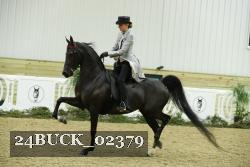 24BUCK_02379 thumbnail