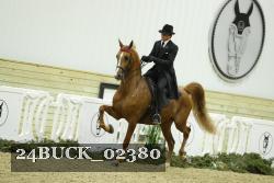 24BUCK_02380 thumbnail