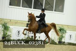 24BUCK_02381 thumbnail