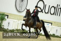 24BUCK_02386 thumbnail