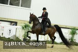 24BUCK_02387 thumbnail