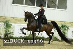 24BUCK_02388 thumbnail