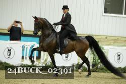 24BUCK_02391 thumbnail