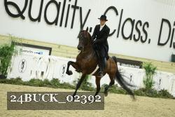 24BUCK_02392 thumbnail