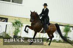 24BUCK_02393 thumbnail