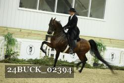 24BUCK_02394 thumbnail