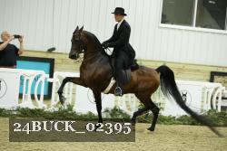 24BUCK_02395 thumbnail