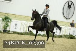24BUCK_02396 thumbnail
