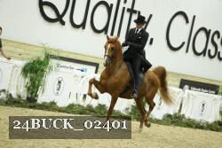 24BUCK_02401 thumbnail