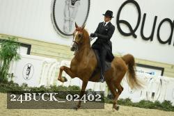 24BUCK_02402 thumbnail