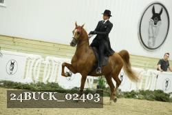 24BUCK_02403 thumbnail