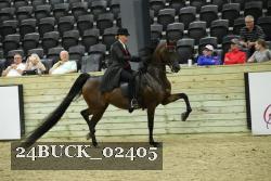 24BUCK_02405 thumbnail