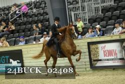 24BUCK_02408 thumbnail