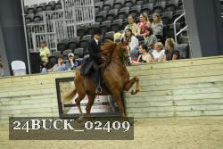 24BUCK_02409 thumbnail