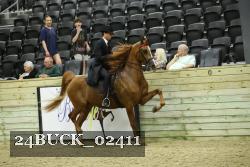 24BUCK_02411 thumbnail