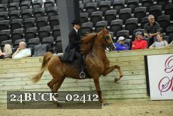 24BUCK_02412 thumbnail