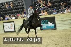 24BUCK_02415 thumbnail